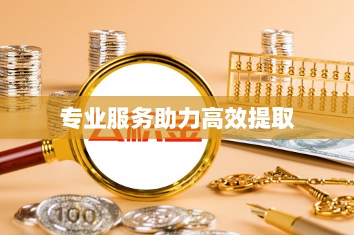 宜城专业服务助力高效提取